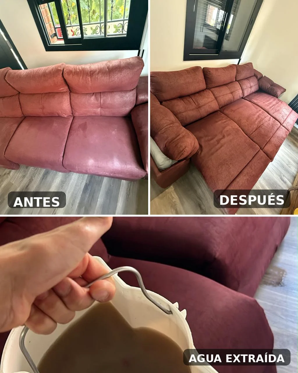 Limpieza e higienización de sofá: antes y después